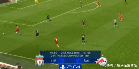 数据网站分析字母哥未来：三成概率留队，三成概率去尼克斯